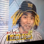 cj_yamapro_tdf