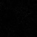 emberlee_official profile picture