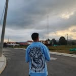 lpm_david1