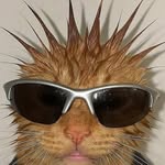 puniscoolkid4