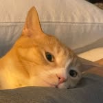 nakedbibi profile picture