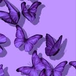 kea.besnaar_ profile picture