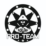pro_team_t_kickboxing