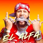 elalfaeljefe