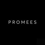 promeeslingerie profile picture