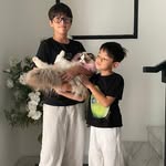 nikitamirzanimawardi_172