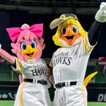 softbankhawks_performanceteam profile picture