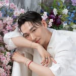 hoyhoyoung