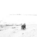 rikako_sasaki.official