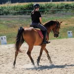 tami_dressage