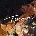 tolma_official