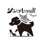 official_cindog