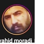 vahidmoradi319