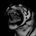 gung_dewii1