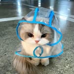 yukatheo profile picture