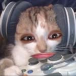 ig_voidwanderer profile picture