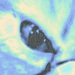 tthi_eks profile picture