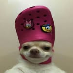 rhiicee_