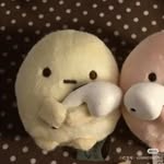 xinqii_0508
