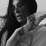 okslch profile picture