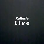 kalleria_theroom