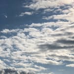 n_azuna profile picture