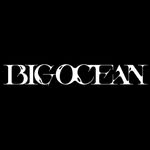 big_ocean.official