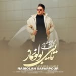 nabisafarpouroriginall