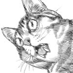 sat0_manga