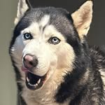 hooman___yaz__63869