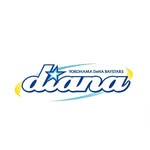 diana_ydb_official profile picture