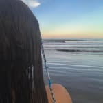 sophiagabriellenicola