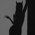 black_catagni