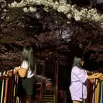 nicollyayumi15 profile picture