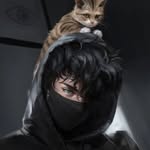 istubit_poi profile picture