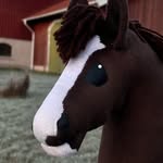 chili_hobbyhorses