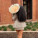 busi.siiwe