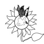 ito_junsuke