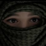 anixzz_13_14