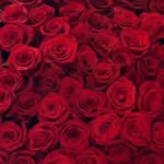 youshoulddobetterbae