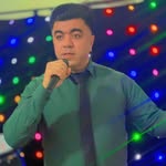 amir__gholami1366