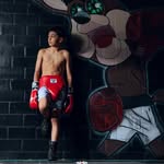 mase_thepanther