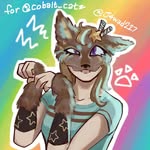 cobalt_catz