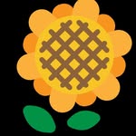 bar_himawari_kinshicho