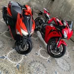 joserp829