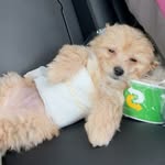 aspenkartierfinallyrichh